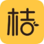 桔子数据图标